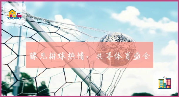豫见排球热情，共享体育盛会