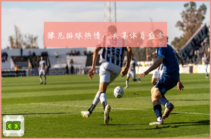 豫见排球热情，共享体育盛会